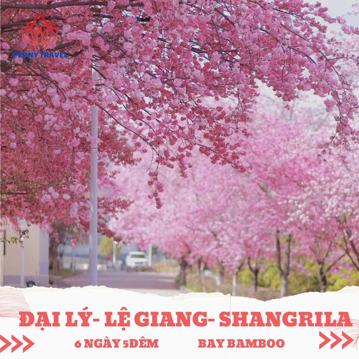 HÀ NỘI – ĐẠI LÝ – LỆ GIANG – SHANGRILA 6 NGÀY 5 ĐÊM BAY BAMBOO