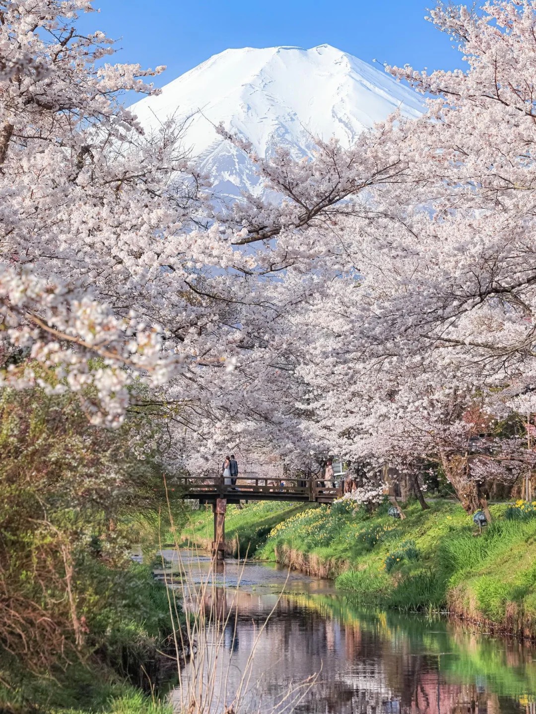 DU LỊCH NHẬT BẢN CUNG ĐƯỜNG VÀNG OSAKA – NARA – KYOTO – NAGOYA – NÚI PHÚ SĨ – TOKYO