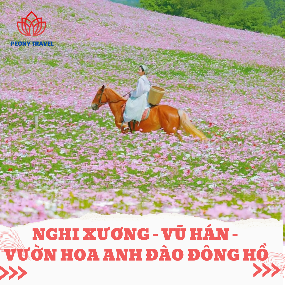 NGHI XƯƠNG – VŨ HÁN – VƯỜN HOA ANH ĐÀO ĐÔNG HỒ 6N5D