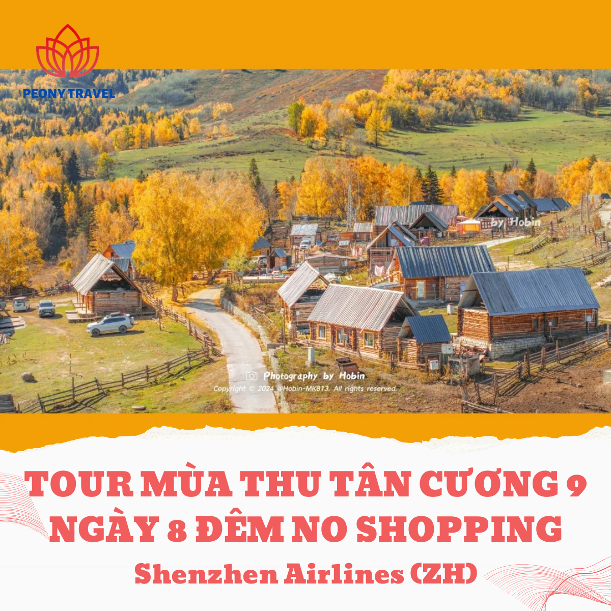 ĐĂNG WEB- BANNER